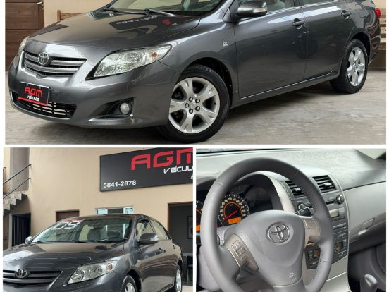 WhatsApp Image 2026-02-10 at 11.50.36 (1)