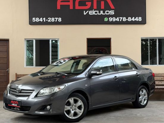 WhatsApp Image 2026-02-10 at 11.50.37 (2)