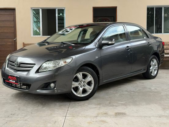 WhatsApp Image 2026-02-10 at 11.50.37 (3)