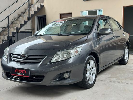 WhatsApp Image 2026-02-10 at 11.50.38 (2)